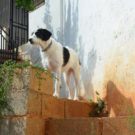 Casa El Castell
